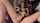 blowjob creampie hotel