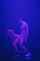 twerking xconfessions anastasiabrokelyn