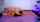 camgirl amateur teen
