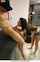 teen blowjob shorts