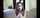 camgirl brunette teen