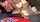 blowjob girls pov