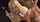 blonde teen doggystyle