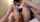 amateur japanese uncensored