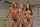 lingerie nude professional