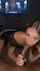 bbc interracial brunette