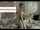 big tits blonde threesome