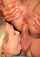 anal threesome blowjob