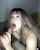 amateur blowjob egirl
