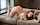 teen brune doggystyle
