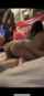 amateur teen hot