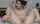 asian stripchat cute