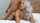 slut shaved pussy
