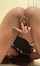 latina masturbating webcam