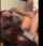 amateur tattooed homemade