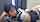 asian camgirl streamer
