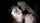 gloryhle teen amateur