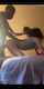 bbc cuckold brunette