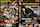 jav uncounsious creampie