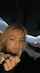 blonde public facial