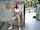 public squirt white