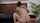 jav asian stand and carry