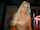 blonde fake tits