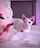 hot cat cam
