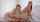 vixen threesome blonde