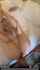 tattoo bbc threesome