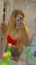 camgirl amateur ebony