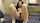 teen shaved pussy