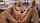 blond babe reverse cowgirl