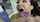 blowjob sexy rough