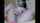 camgirl teen brunette