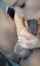 camgirl brunette big dick