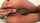 ebony asshole fingering