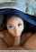 deepthroat facefuck asian