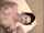 brunette cumshot facial