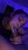 ebony bbc blowjob