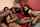 orgy ebony lesbian