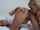 lesbians kissing hot