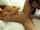 lesbians kissing hot