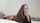 feet brunette cam girl