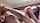 threesome ffm ebony