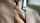 camgirl pussy ass