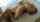 blonde pov caucasian