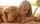 blonde blowjob boobs