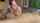blowjob big tits big ass