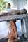 milking table jerk off cumshot